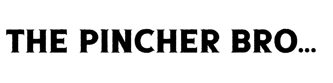The Pincher Brothers Serif Rough